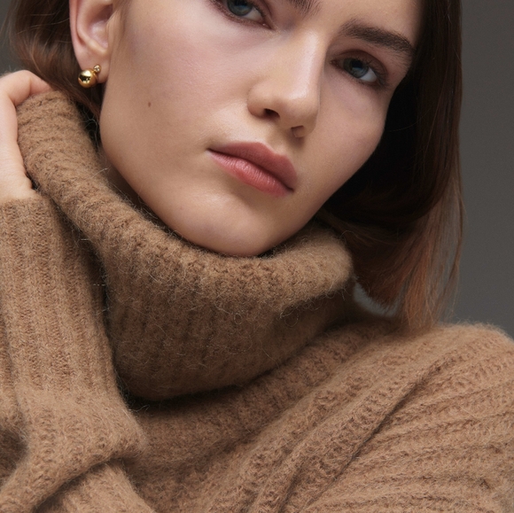 Everlane Alpaca Oversized Turtleneck - Picture 3 of 7
